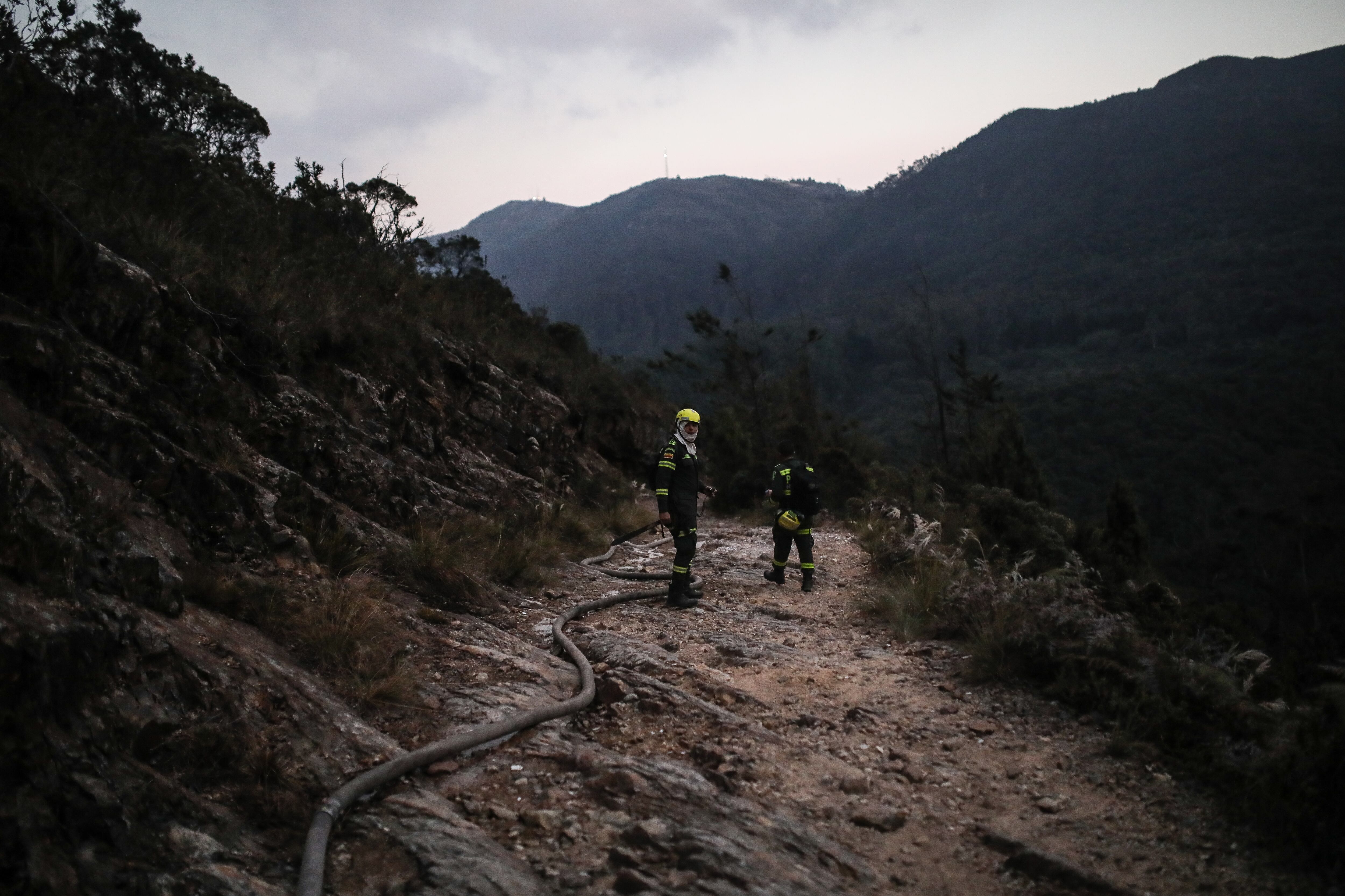 Incendios en la ciudad de Bogotá 
Bomberos, policia, defensa civil y ciudadanos apoyan las labores en los cerros.