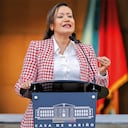 Carolina CORcho Ministra de Salud