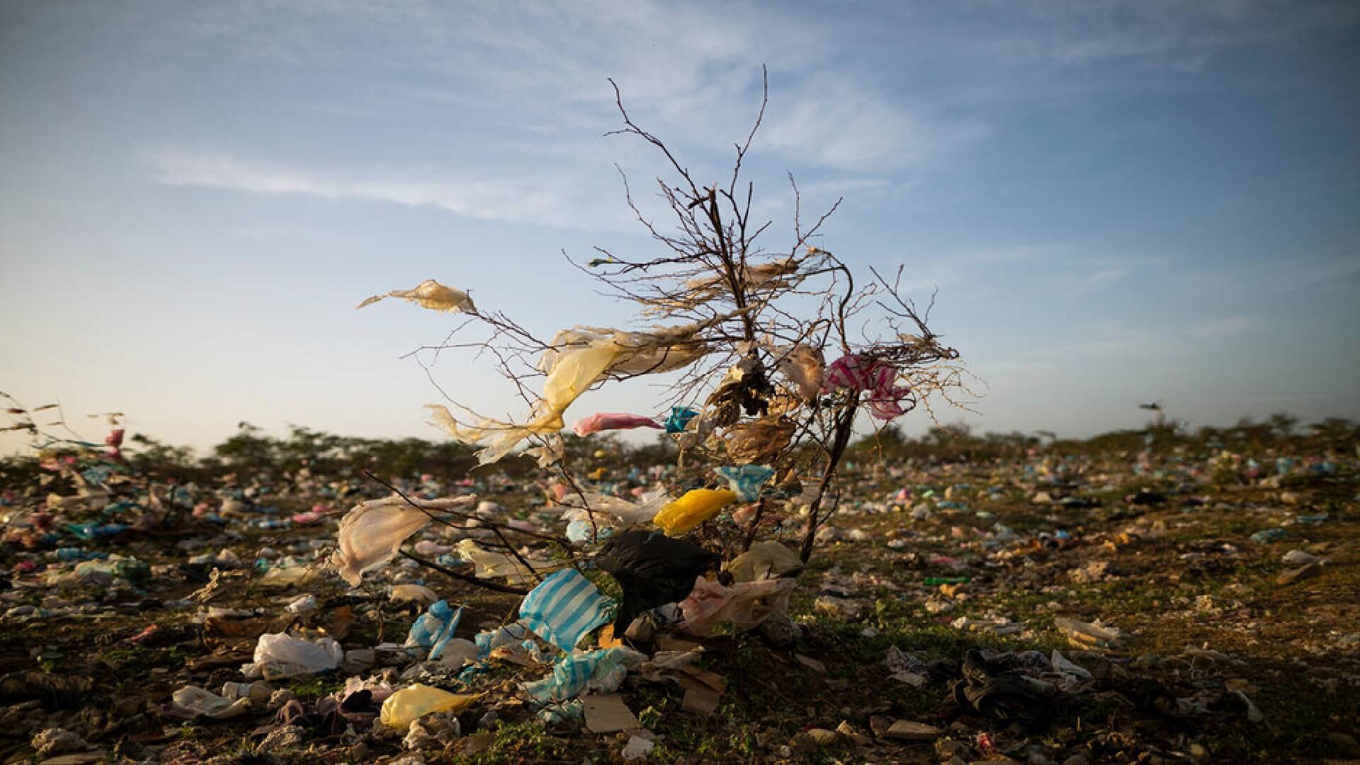 Hasta $24 billones de bienes podrían estar en riesgo con un calentamiento de 
2,5 °C.