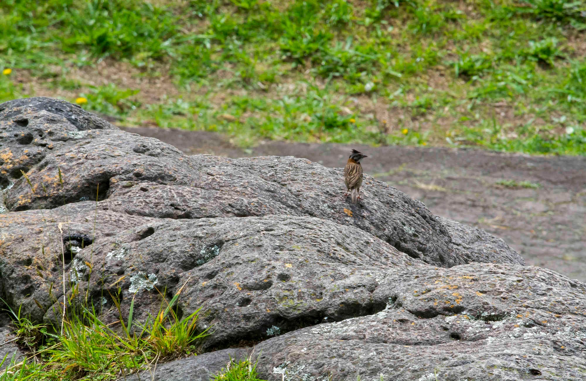 Gabriel González C. | Semana
