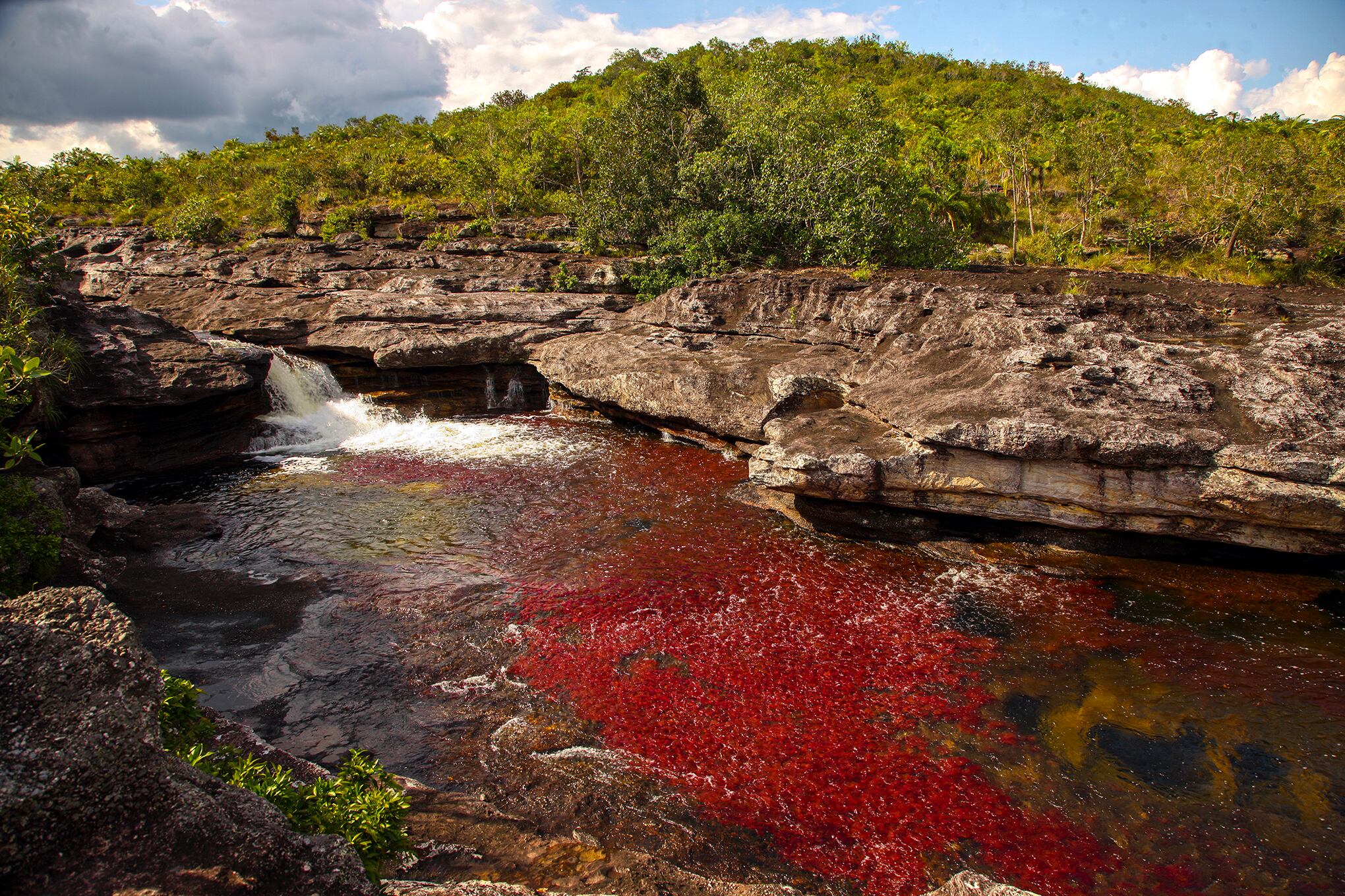 LA MACARENA Y CANO CRISTAL