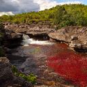SOSTENIBILIDAD
PRESIDENTES JOVENES
EMPRESARIOS JOVENES
LA MACARENA Y CANO CRISTAL
LA MACARENA
CANO CRISTAL
OCTUBRE 24 DE 2012
FOTO LEON DARIO PELAEZ/ SEMANA