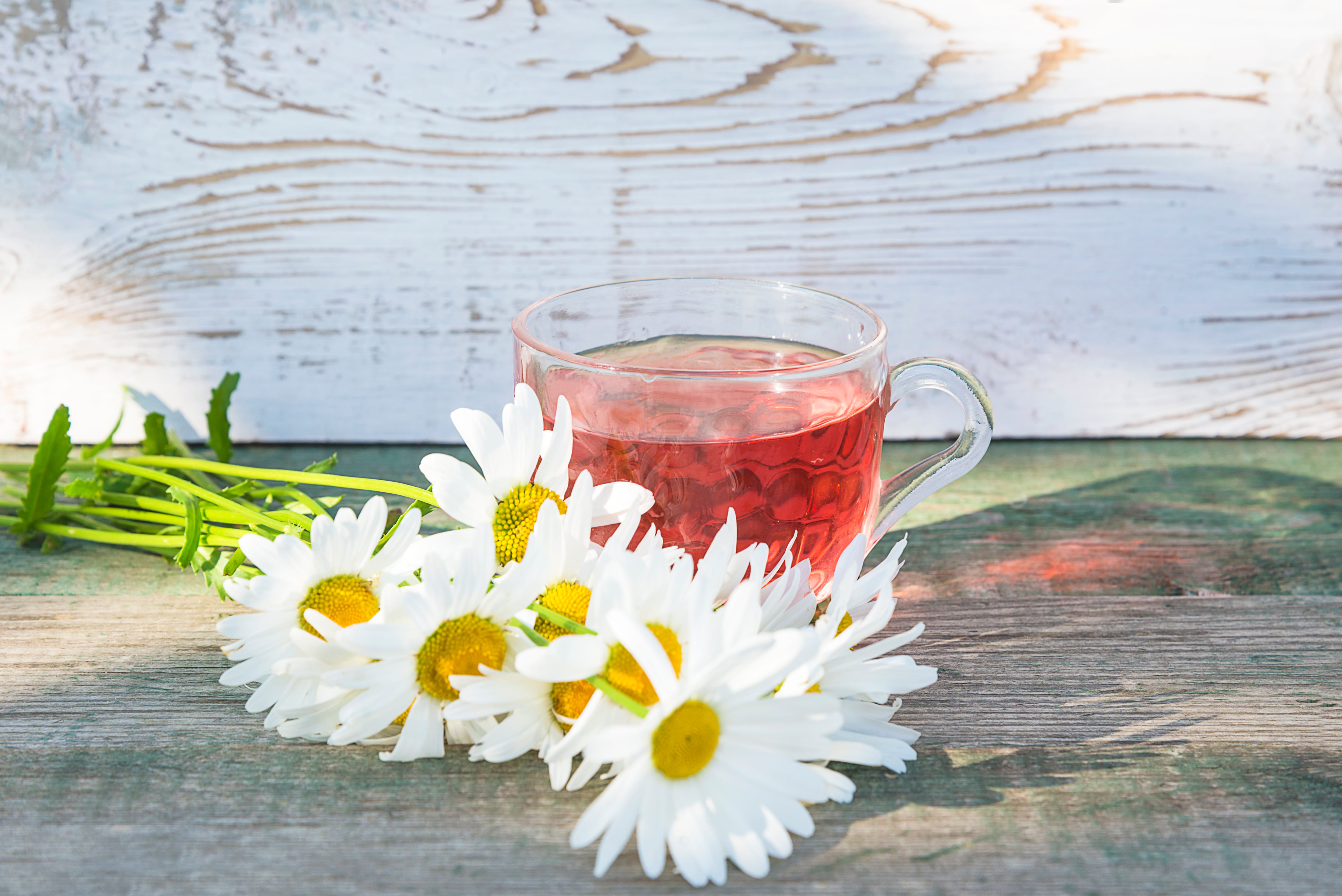Esta infusión puede aliviar el dolor de cabeza.