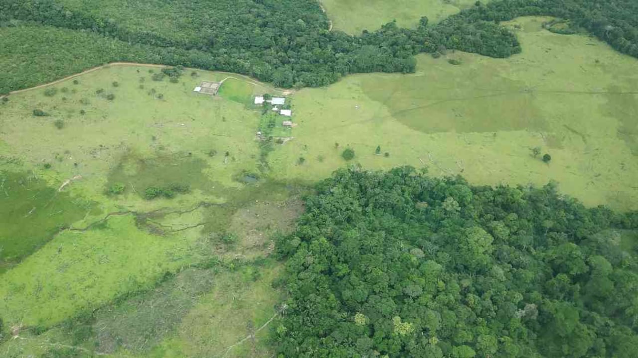 La deforestación es una de las mayores problemáticas de Brasil. Foto: Jhon Barros