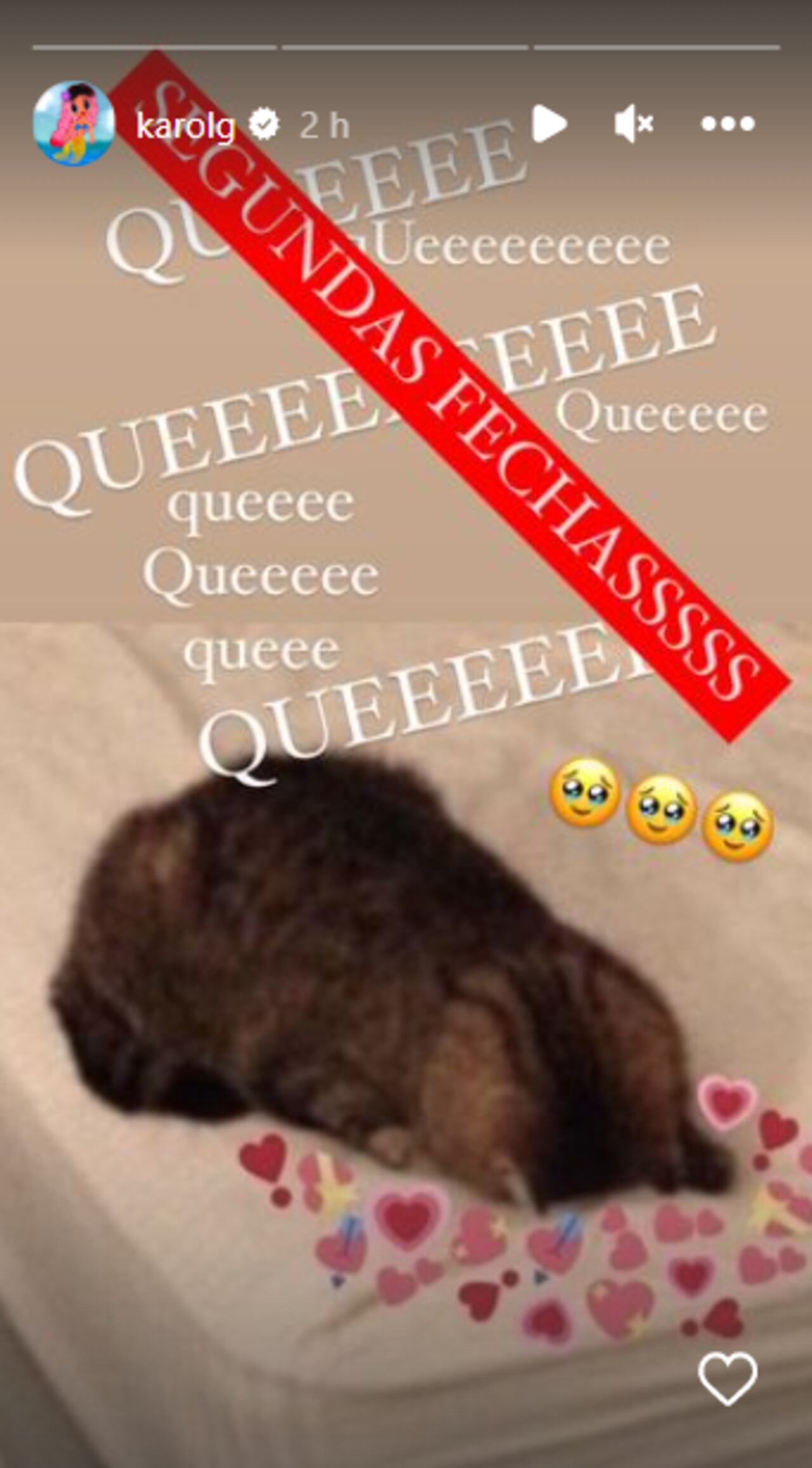 Foto: Instagram @karolg.