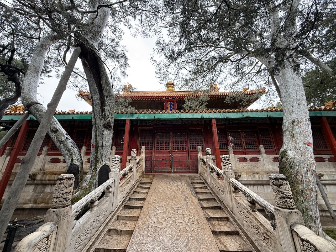 En la ciudad prohibida de Pekín se conserva una de las maderas más antiguas del mundo.