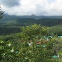 Melgar: Mucho más cerca a Bogotá, lo que facilita el transporte y las condiciones, hace que sea un destino popular y económico, ofreciendo una gran variedad de actividades de diversión. Este destino cuenta con más de 35 alquileres vacacionales que en su mayoría son fincas con piscina y espacio y los precios comienzan desde COP$ 275.000 por noche por la casa completa.