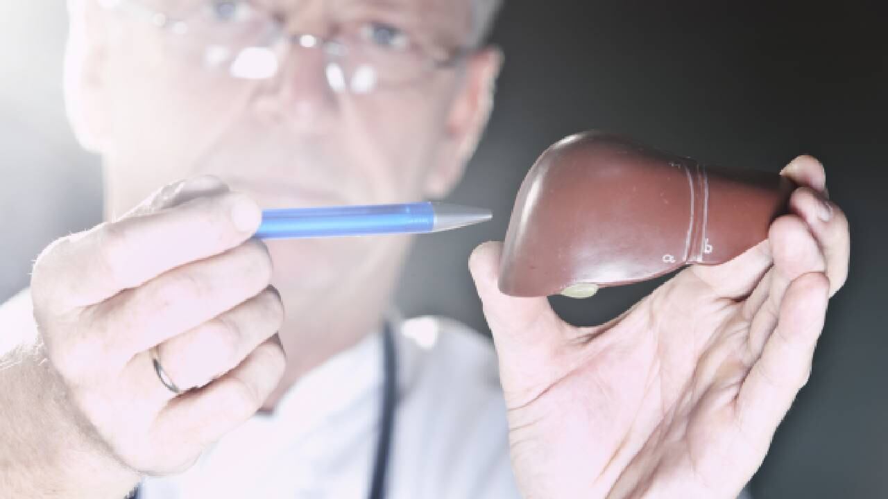 El hígado es importante para el organismo pues es el encargado de digerir los alimentos y eliminar las sustancias tóxicas. Foto: Getty Images.