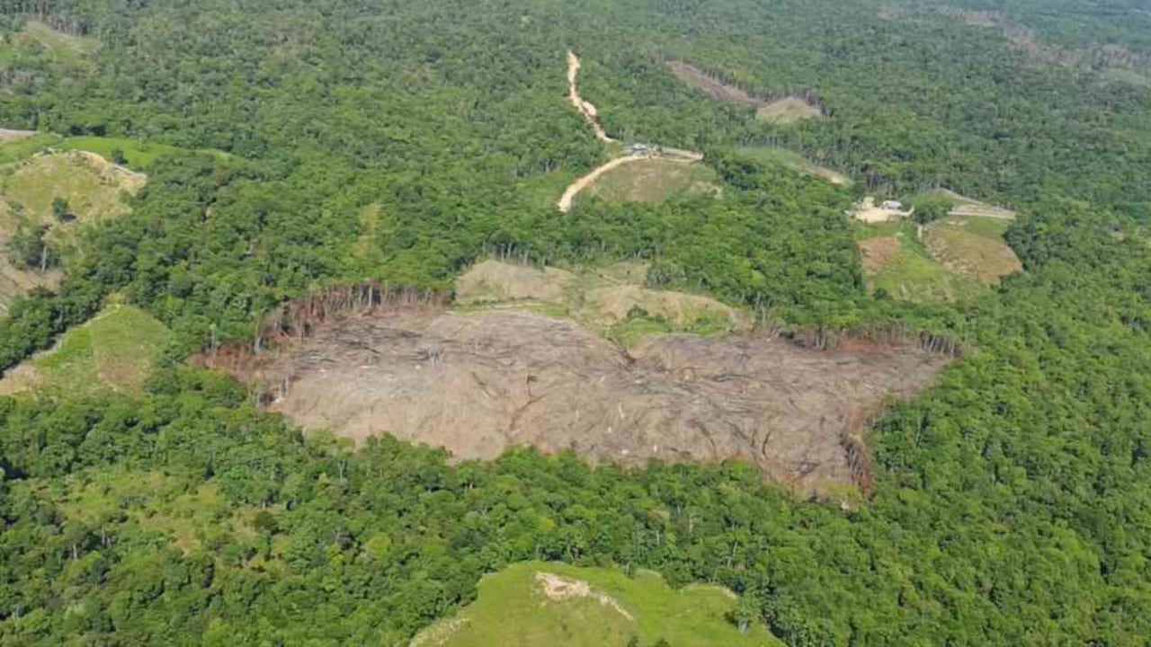 La deforestación es uno de los principales motores para que se generen gases efecto invernadero en Colombia. Foto: Ejército Nacional.