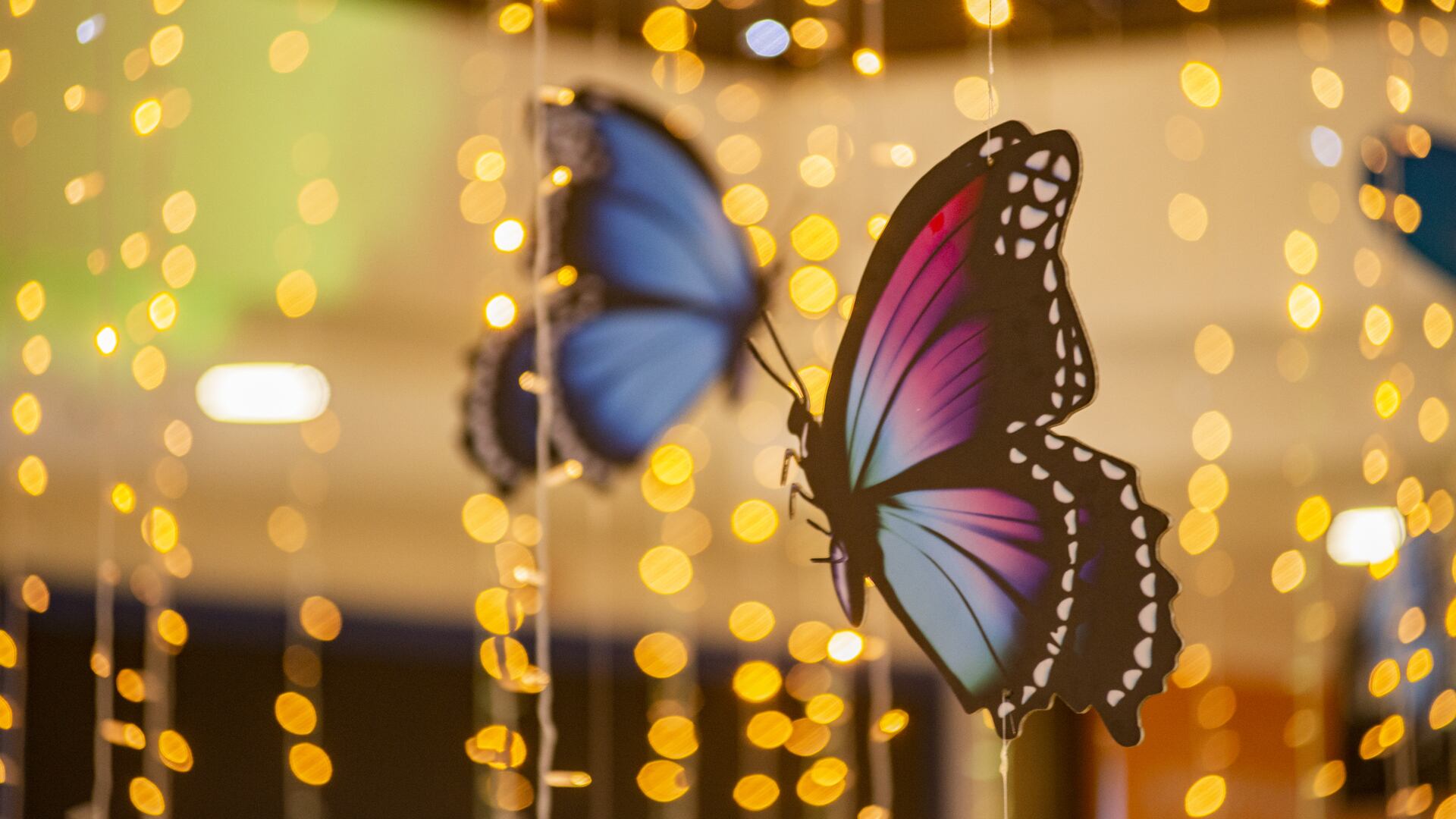 Los colombianos regresaron, con todos los protocolos, a esos espacios de encuentro familiar y de diversión que ofrecen los centros comerciales. Con la reactivación económica también se recupera poco a poco la vida social. Así se vive en estos lugares la nueva normalidad.