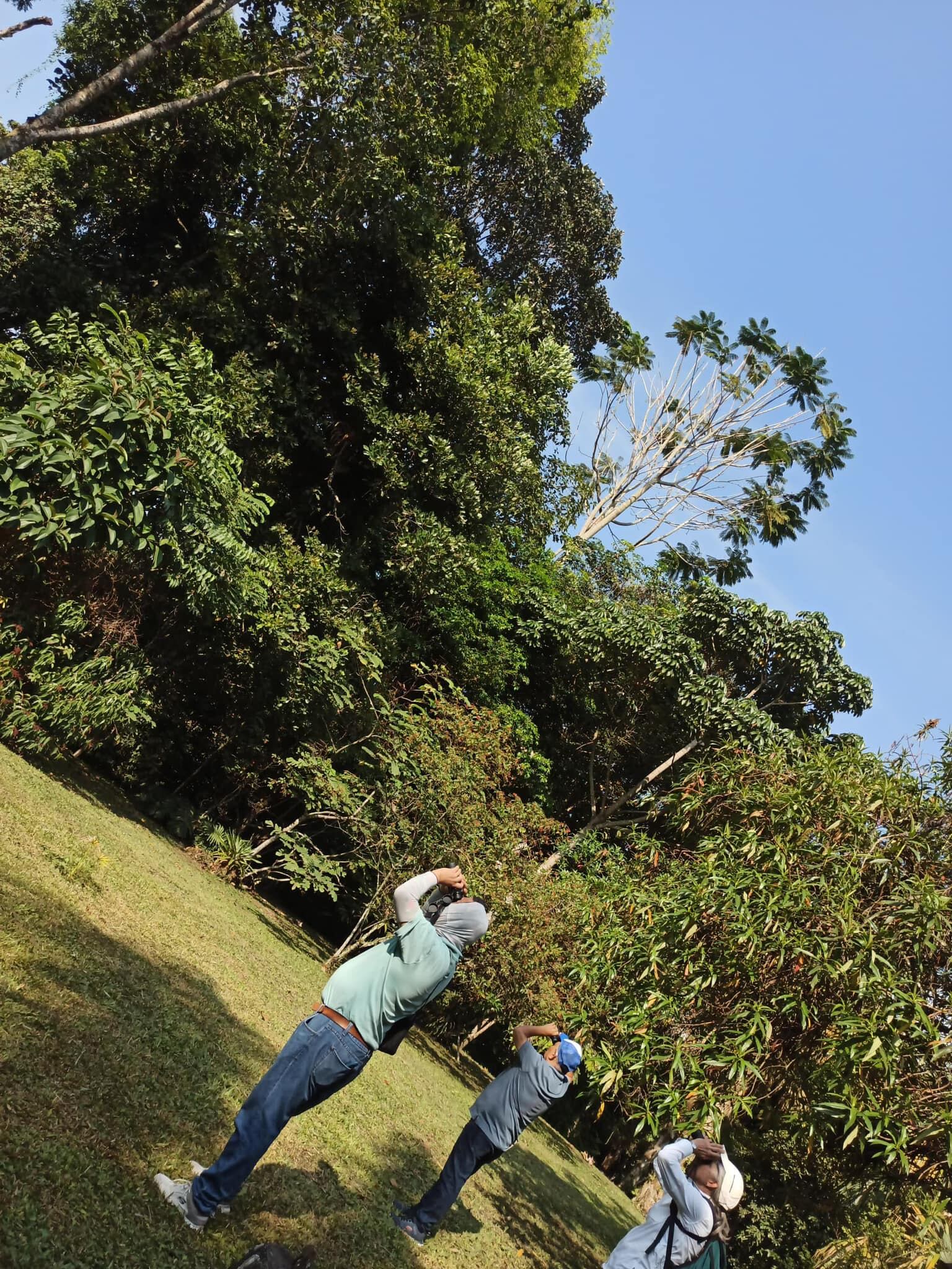 Jardín Botánico del Quindío