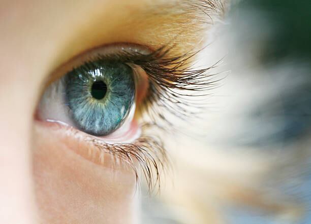 Las pestañas tiene como función principal proteger los ojos.