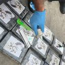 Golpe a las finanzas del narcotráfico: cerca de 40 millones de dólares dejaron de ingresar a las organizaciones tras tres contundentes operaciones