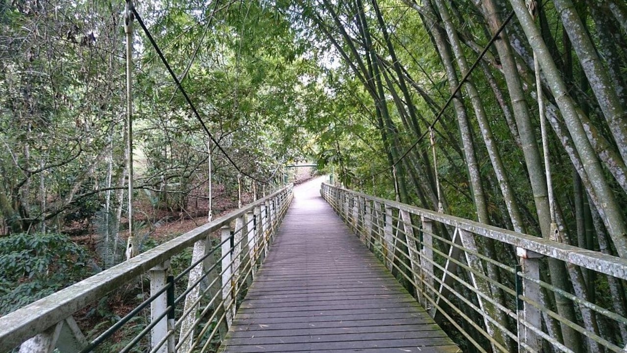 Armenia, Quindío