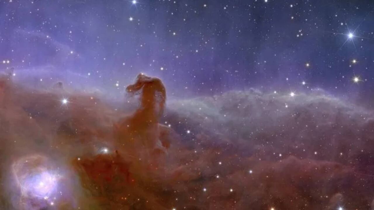 El "zoológico galáctico" captado por el telescopio espacial Euclid.