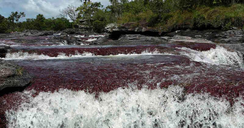 El turismo surgió en La Macarena en el 2008 con 35 prestadores de servicios, hoy hay más de 500 familias, agrupadas en 17 asociaciones. Foto: Guillermo Torres / SEMANA