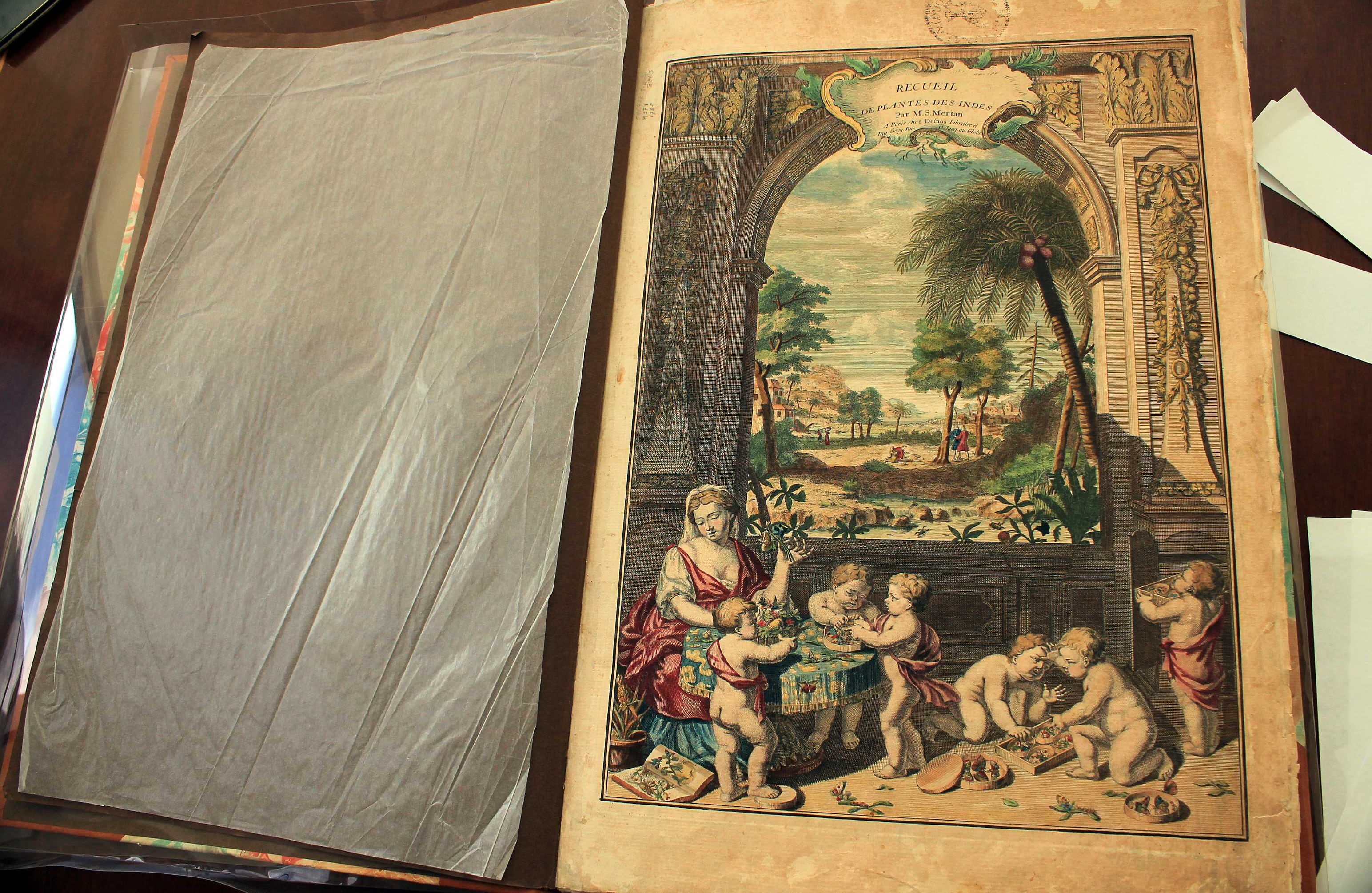 ‘Recueil des Plantes des Indes’ de la alemana María Sibilia Merano (1768). La autora es una científica que viene a América Latina para investigar y conocer insectos. Cuando vuelve a su país trata de retratar lo que vio desde diferentes ángulos, con una técnica de grabados y acuarelas. Su viaje fue auspiciado por la corona de Amsterdam. Foto: Álvaro Tavera.