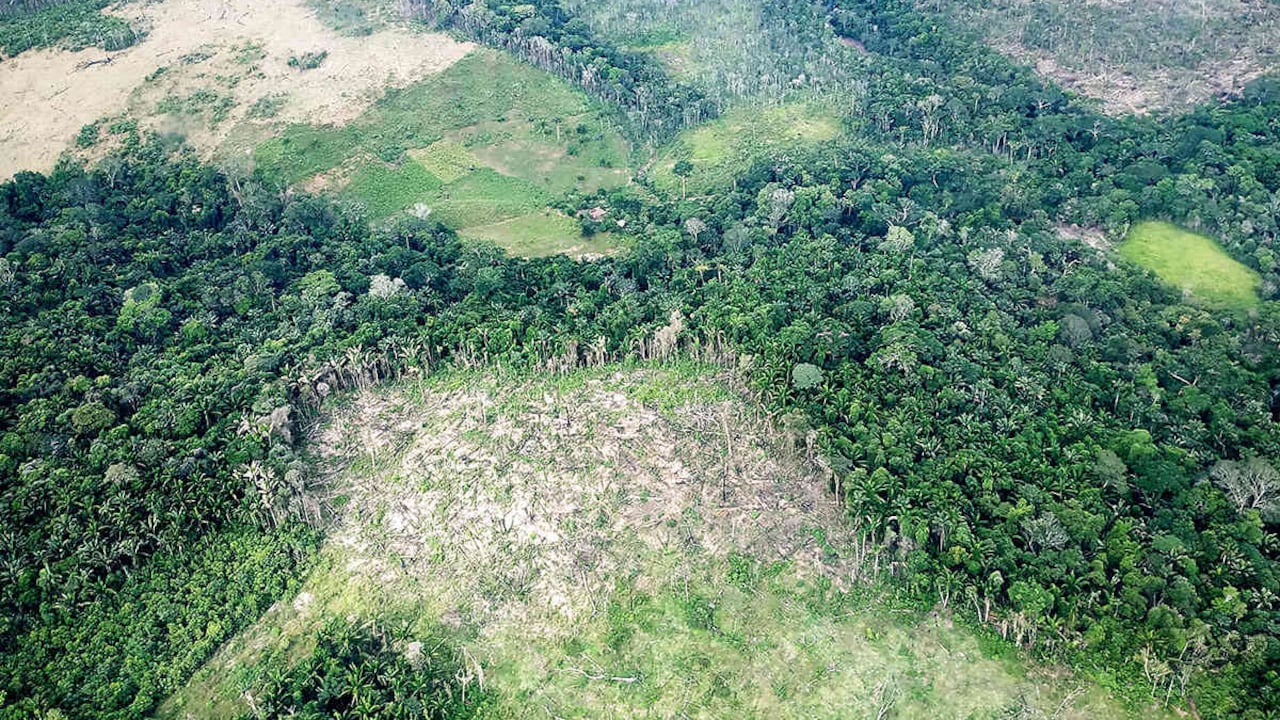 La Amazonia concentra el 75% de la deforestación del país, según el último reporte de alertas tempranas del Ideam. Foto: archivo/Semana.