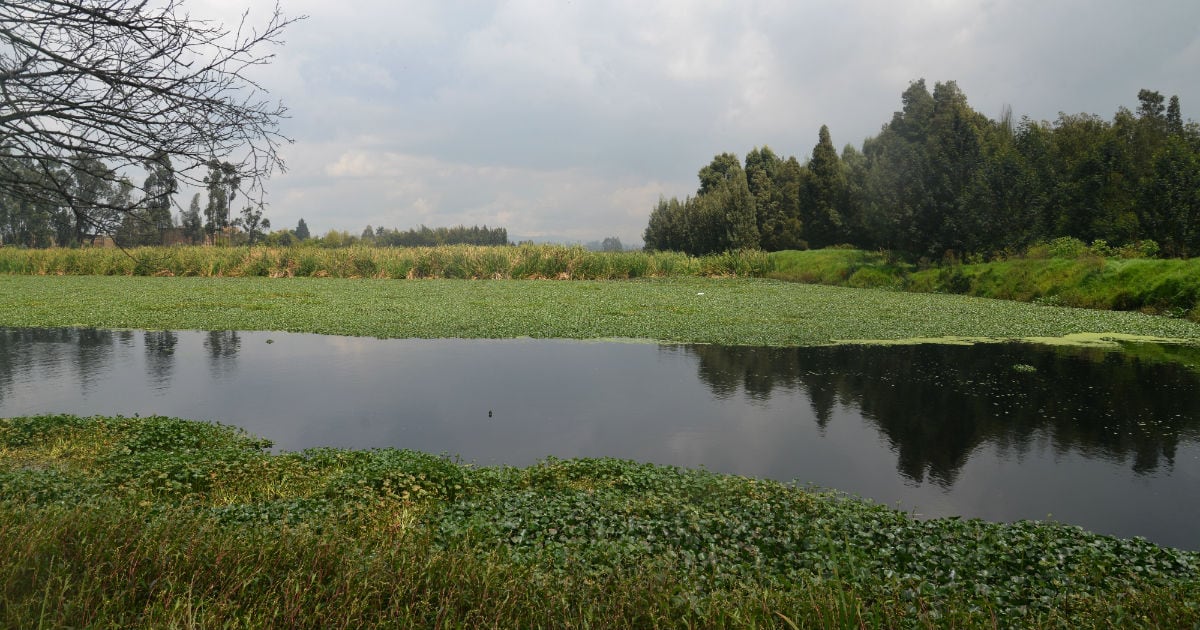 El tema de los humedales hacen parte de la reorganización de la sabana de Bogotá que el Ministerio de Ambiente y Desarrollo Sostenible publicó en su página web.