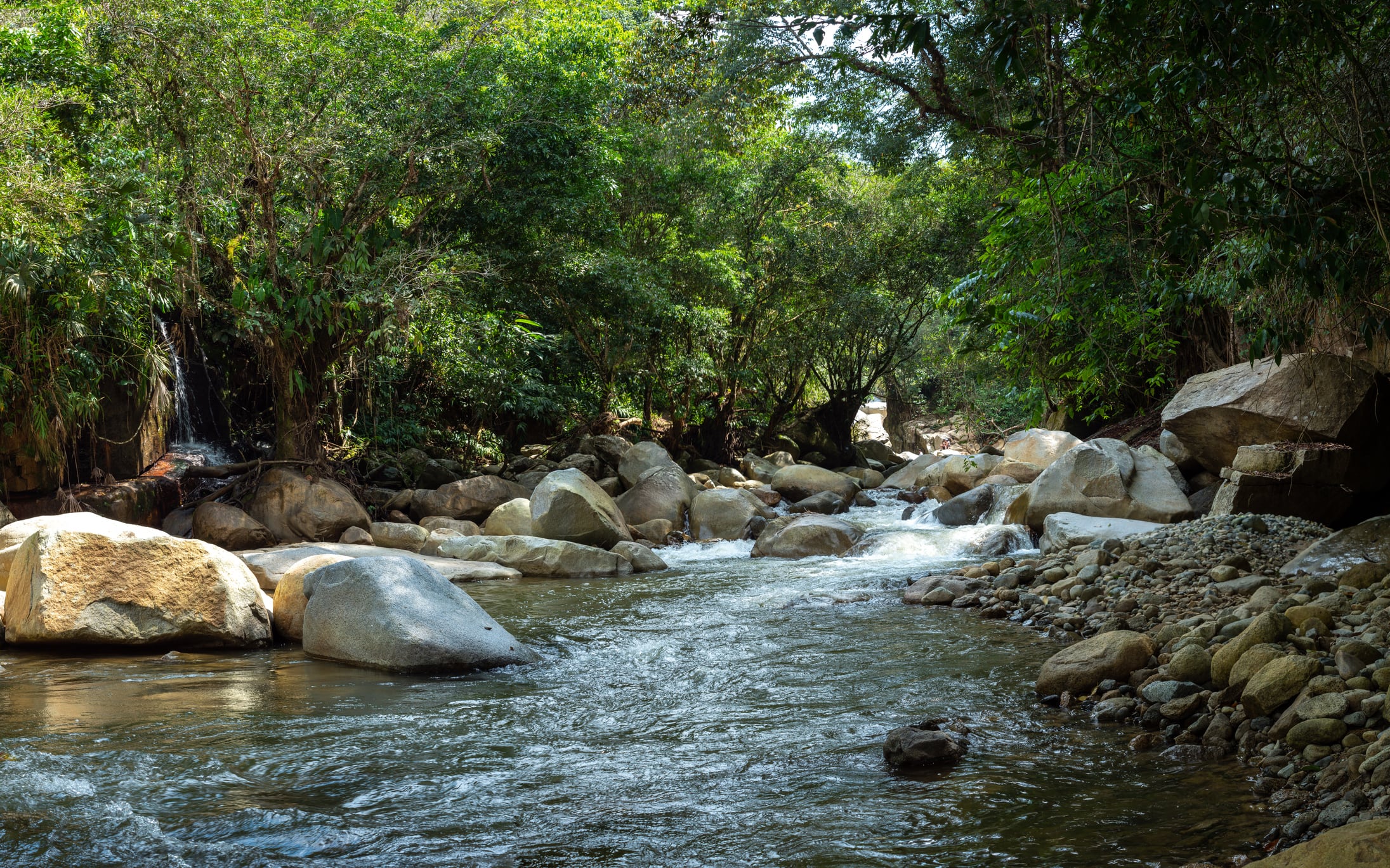 Cisneros, Antioquia, Colombia