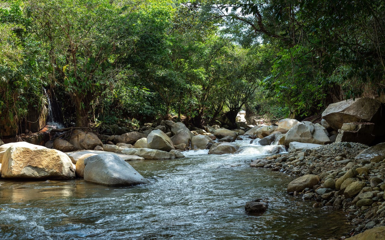Cisneros, Antioquia, Colombia