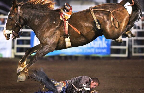 Un vaquero cae de su caballo en las finales de la feria Walla Walla de rodeo en Cheyenne, capital del estado de Wyoming, Estados Unidos. (AP) 