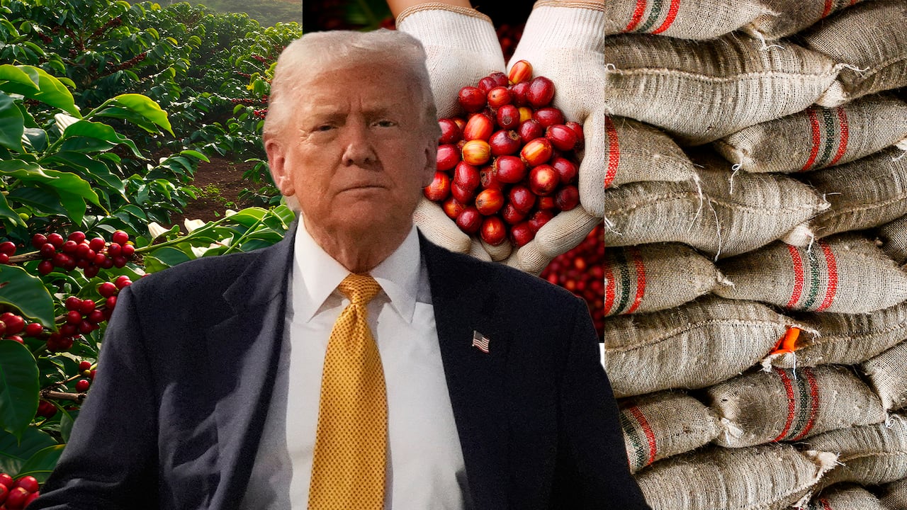En manos del presidente Donald Trump está la imposición de nuevos aranceles para los productos colombianos a Estados Unidos. Uno de ellos es clave: el café, porque ese país representa el 40% de sus ventas.