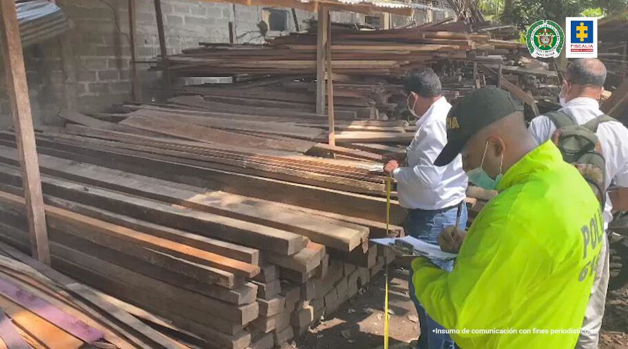 Importante golpe a red de tala ilegal en el Parque Natural Paramillo: capturadas 22 personas por arrasar con más de ocho hectáreas