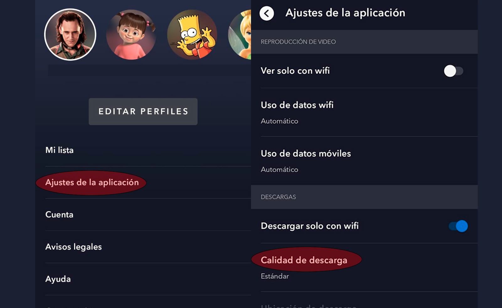 Menú para configurar las descargas en Disney+