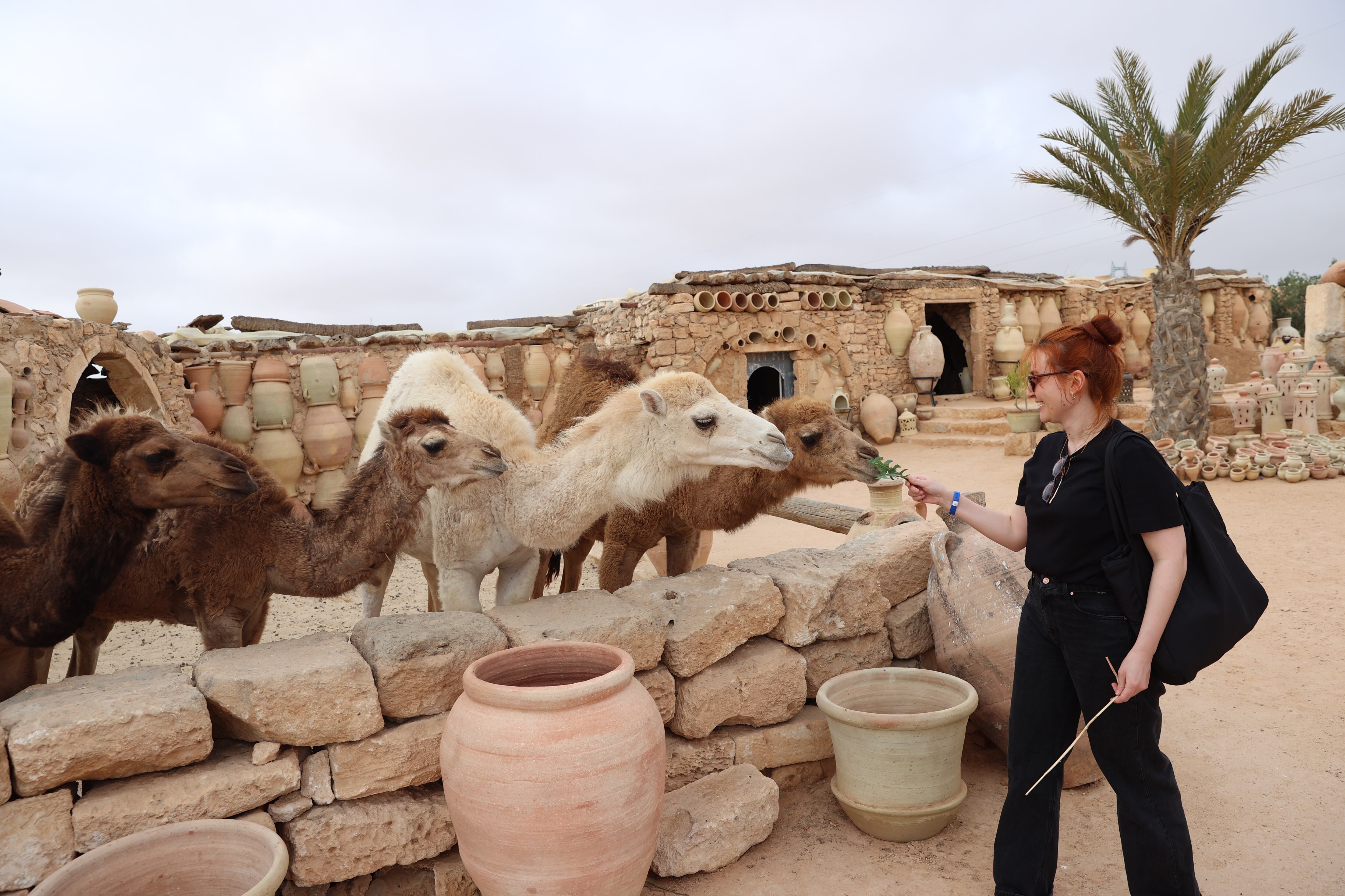 Jerba Island in Tunisia
