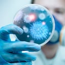 Un científico sostiene una placa con virus y células bacterianas