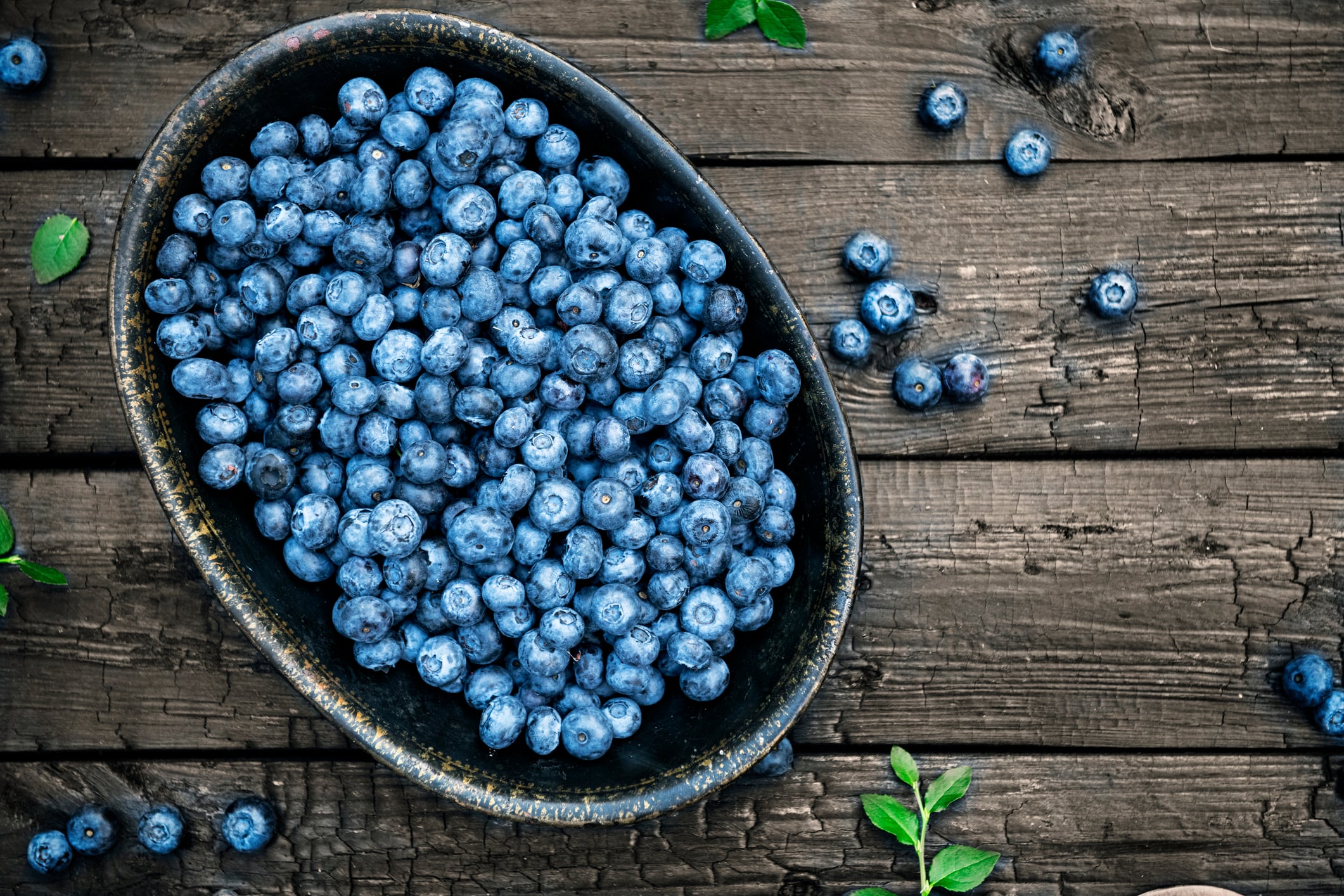 Organic wild blueberries on dark wooden background.