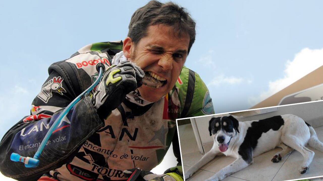 Este es 'Príncipe' el perro que fue asesinado por el piloto Juan Sebastián Toro.