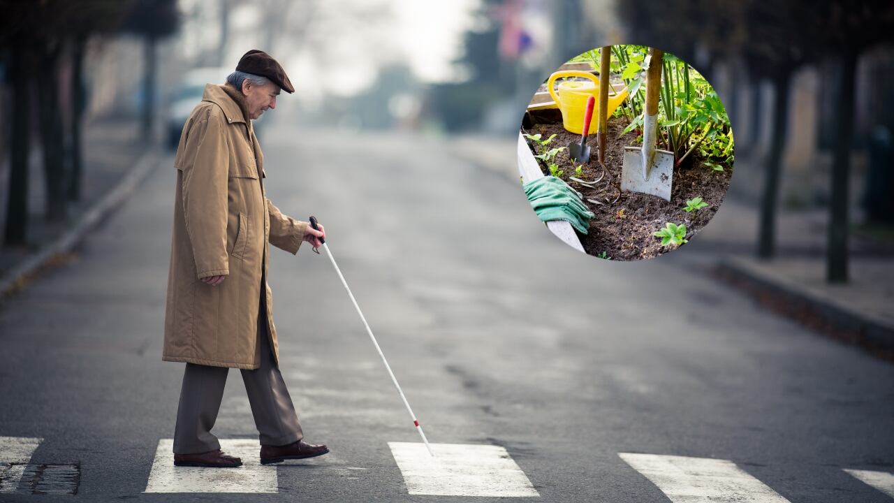 El caso ha generado mucho asombro en todo el mundo.