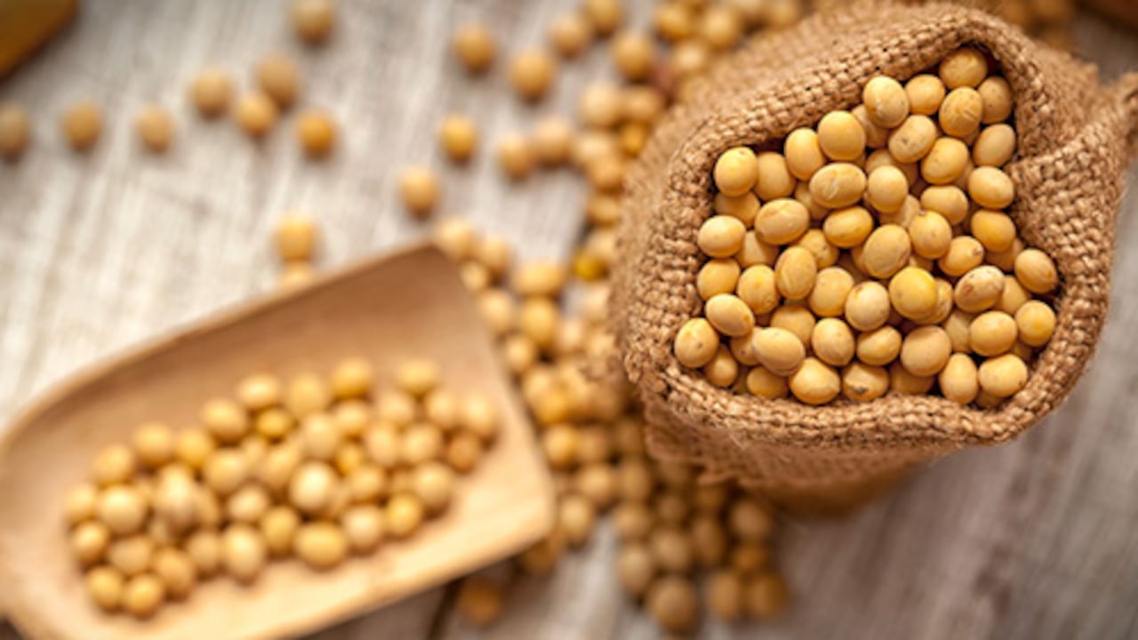 La soya estadounidense contiene entre un 35 % y un 40 % de proteína de alta calidad, siendo una fuente esencial de nutrientes para la alimentación humana y animal.