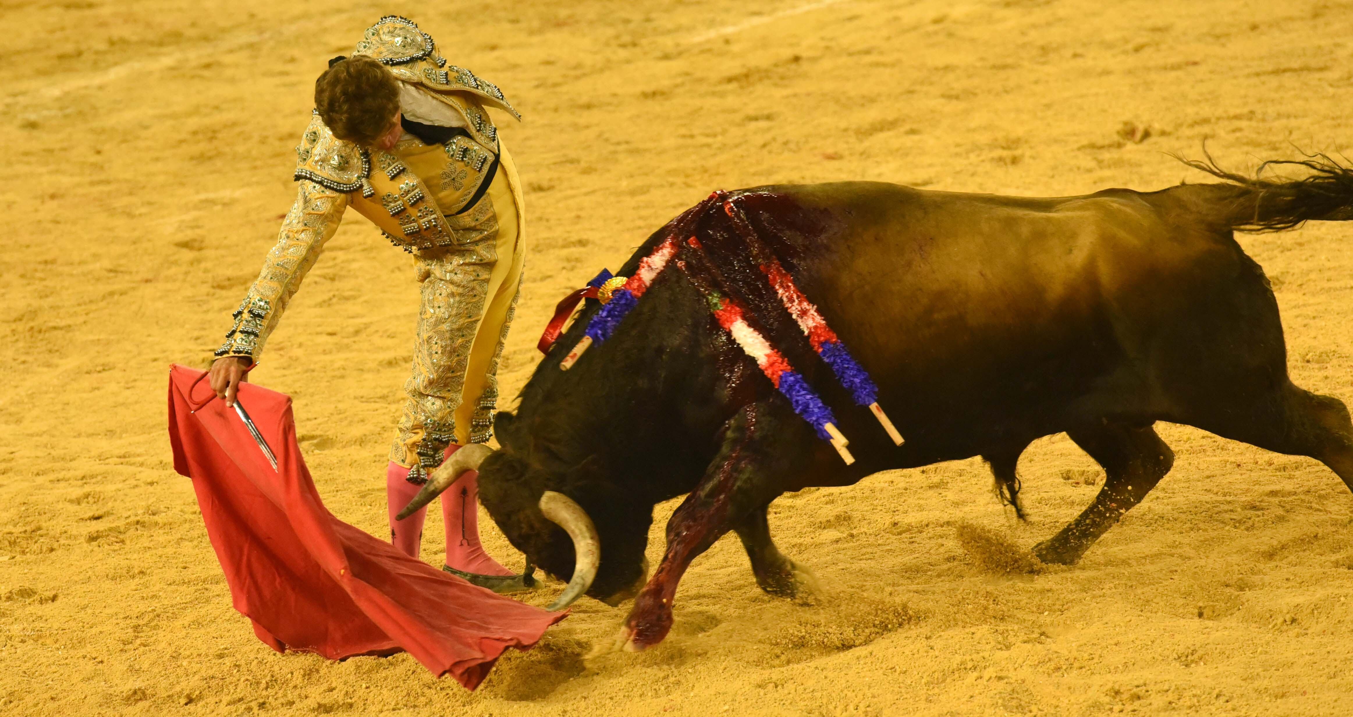 Maikel Ramírez, novillero de Manizales. Cali, 11 de diciembre de 2021.