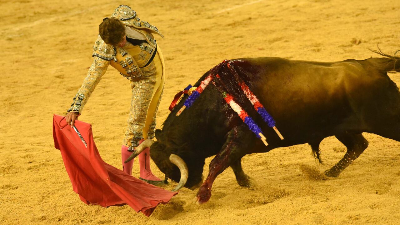 Maikel Ramírez, novillero de Manizales. Cali, 11 de diciembre de 2021.