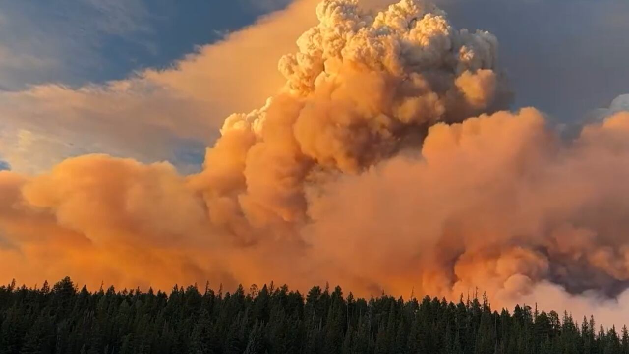El primer megaincendio del año en EE.UU., deja pérdidas culturales y ecológicas en Arizona