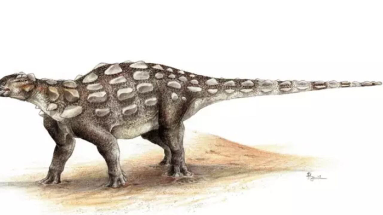 Publican estudio sobre las primeras pisadas de anquilosaurios con cola rígida.