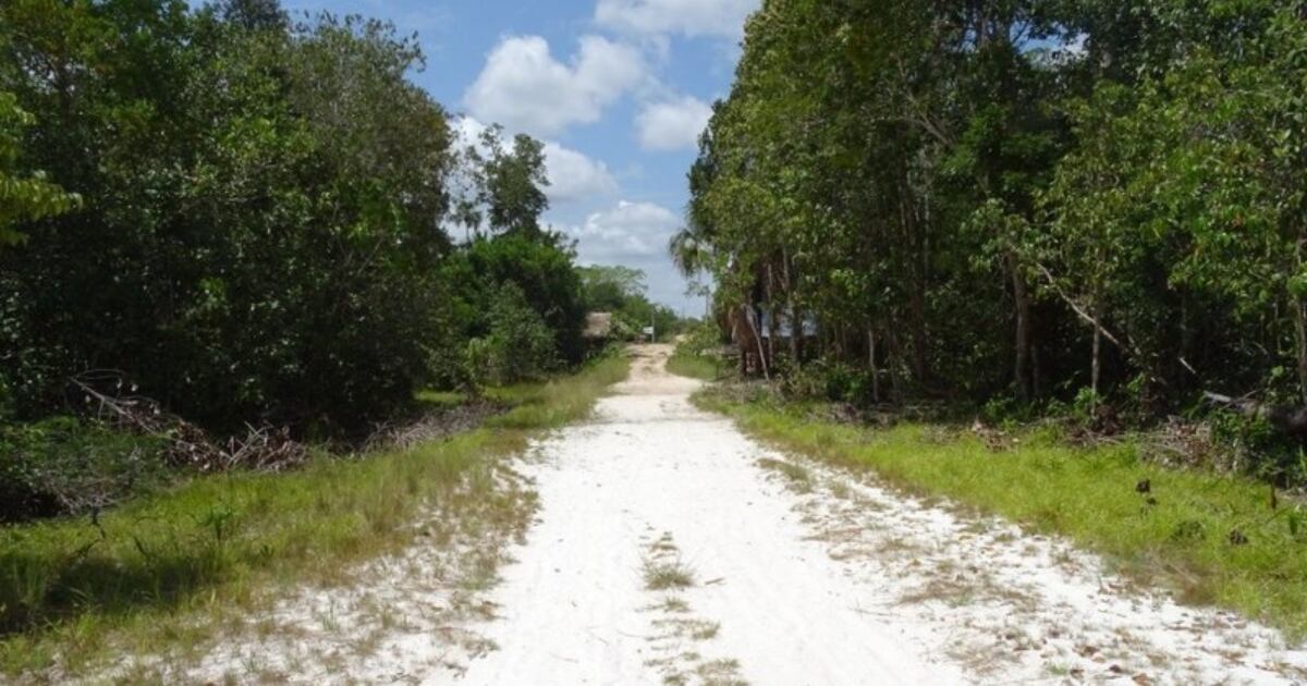 Sabanas de arenas blancas en Guainía.