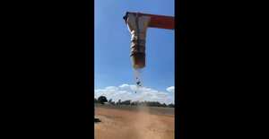 Impactante video muestra una “lluvia de ratones”, al tiempo que una “plaga bíblica” afecta a Australia