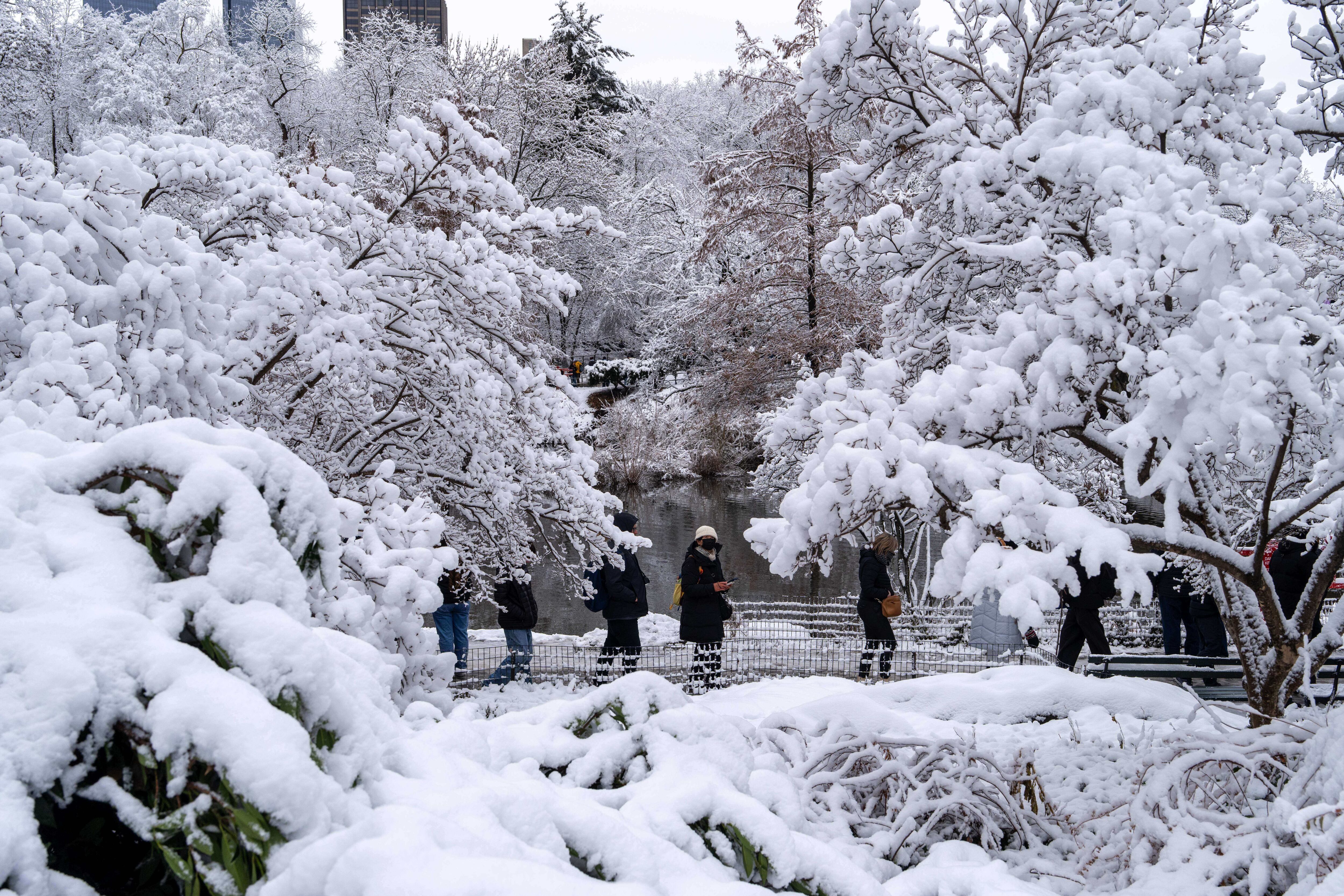 La gente camina por Central Park después de la nevada, el domingo 14 de diciembre de 2025, en Nueva York. (Foto AP/Adam Gray)