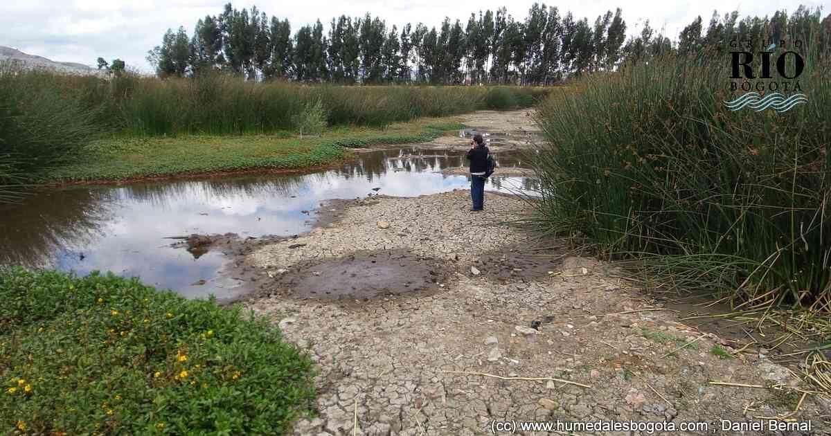 Humedal Tibanica en Bogotá.