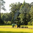 Origen del coronavirus: China ordenó a granjeros matar a todos los animales que podrían tener relación con el virus