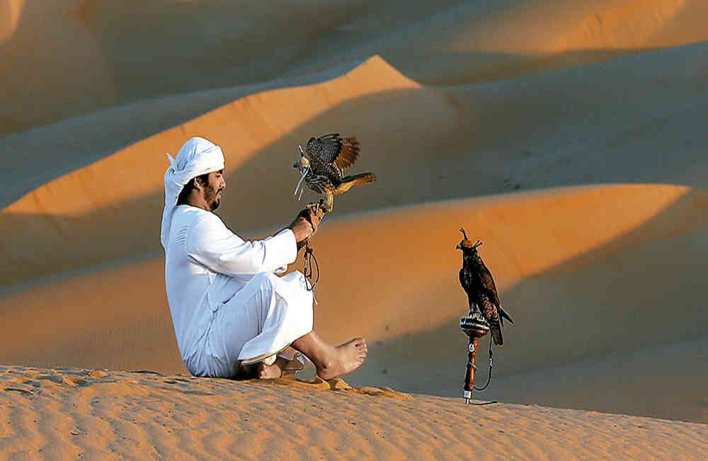 Durante 4.000 años, los beduinos que habitaban lo que hoy son los EAU practicaron la cetrería como forma de caza, según el departamento de Cultura de Abu Dabi. 