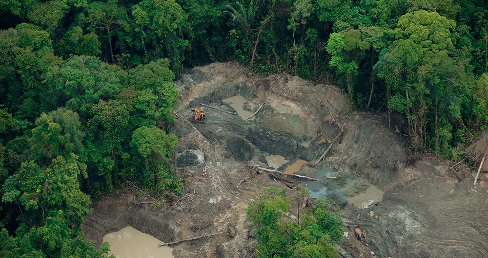 La minería ilegal y las refinerías a cielo abierto son las principales causas de la deforestación en el país. Chocó, Cauca y Nariño son los departamentos más afectados. 