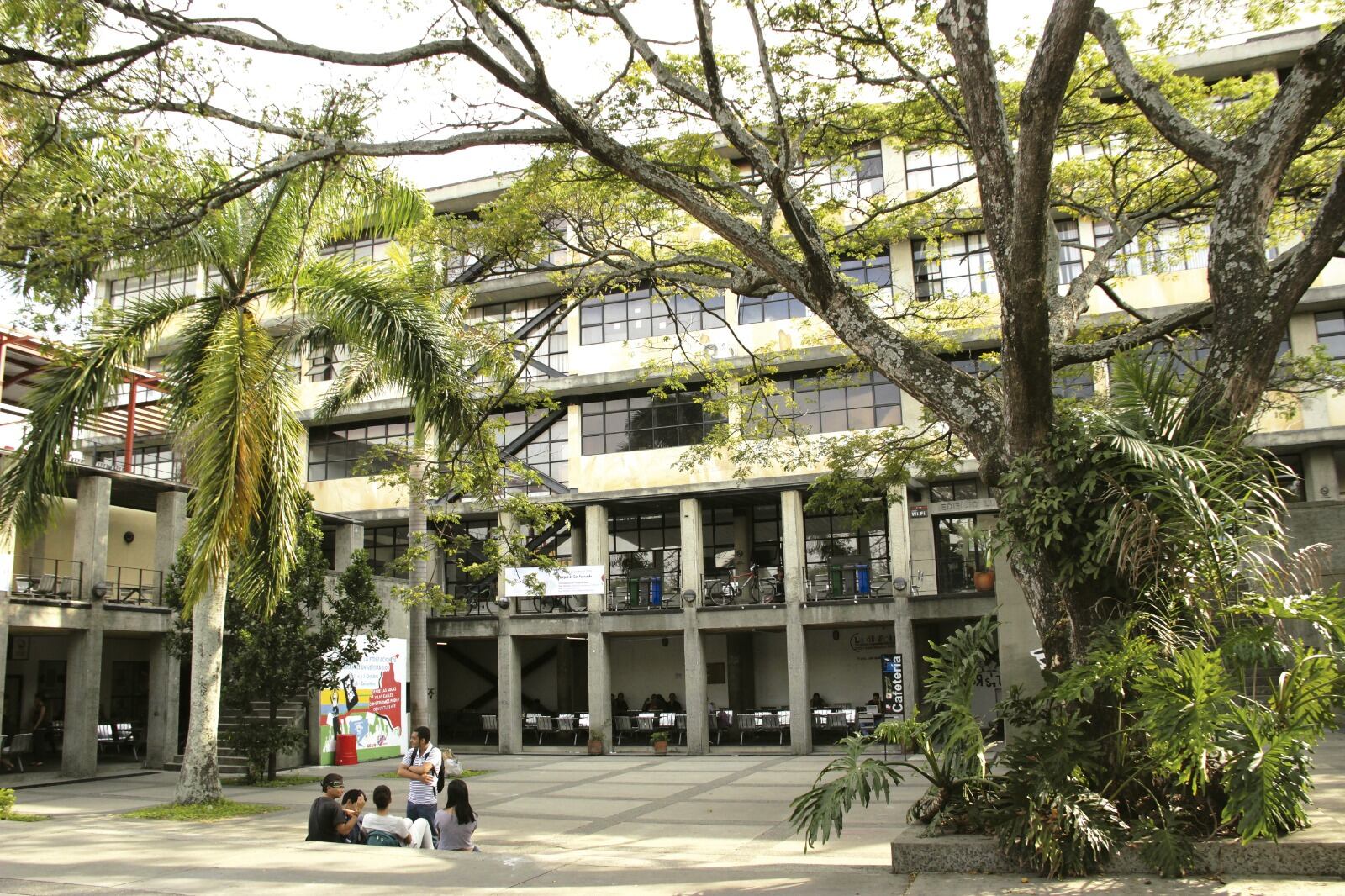 Las principales contribuciones de Univalle están en garantizar la equidad en el acceso a la educación superior con sus sedes regionales, formación de capital humano de alto nivel, la investigación e innovación para la solución de problemas regionales; como motor cultural, fomentando la diversidad, el pensamiento crítico y la identidad regional, asegura la profesora Lyda Osorio. Foto: Agencia de Noticias Univalle / El País.