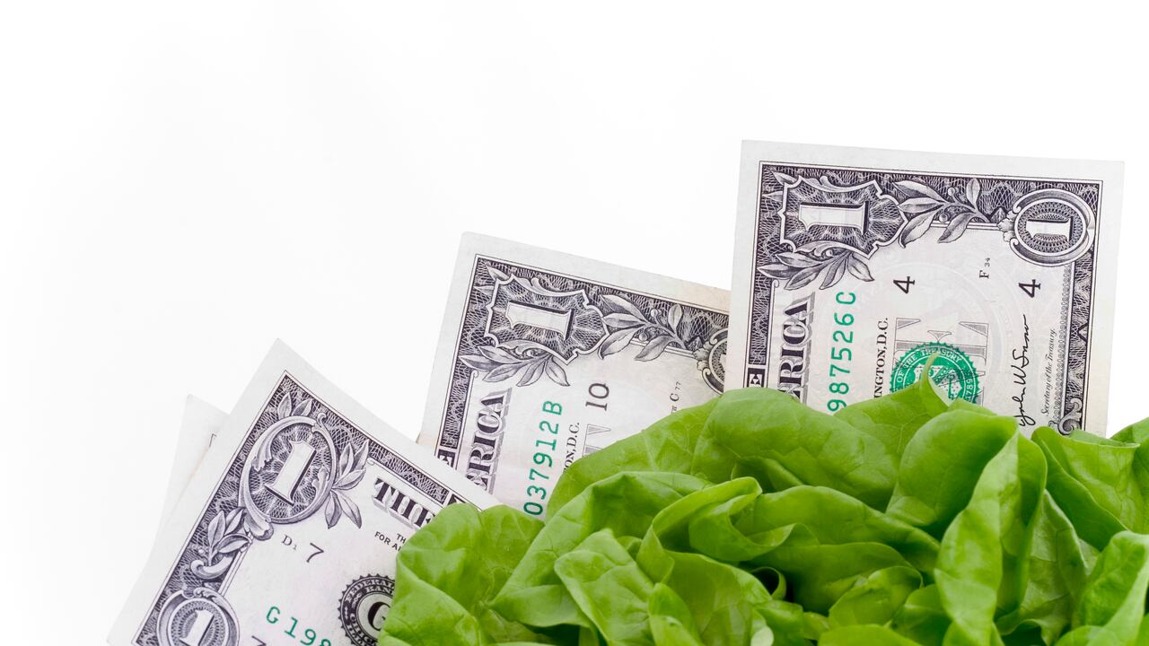 La búsqueda de la prosperidad puede ser un camino personal y una hoja de lechuga puede ser clave.