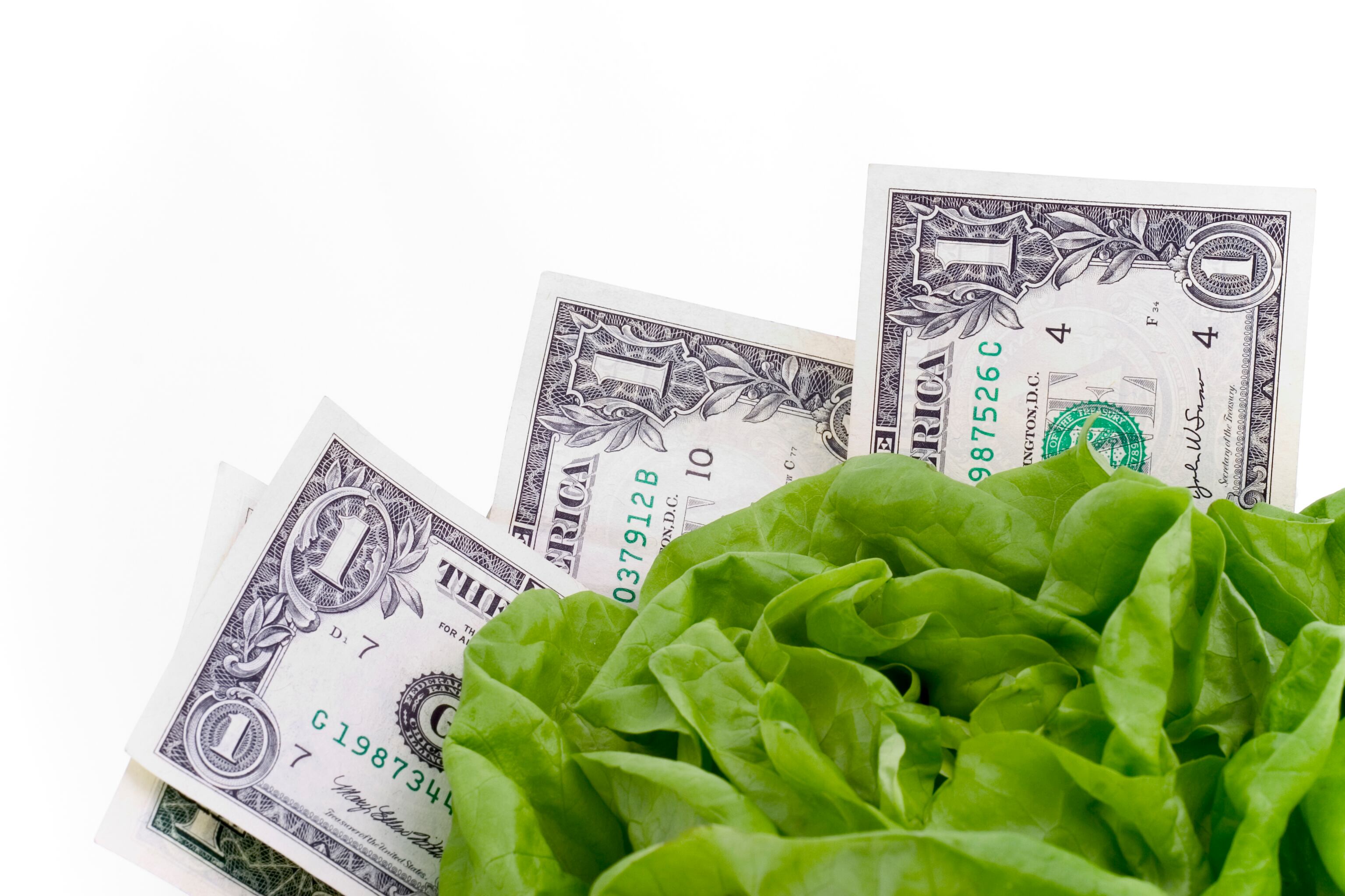 La búsqueda de la prosperidad puede ser un camino personal y una hoja de lechuga puede ser clave.