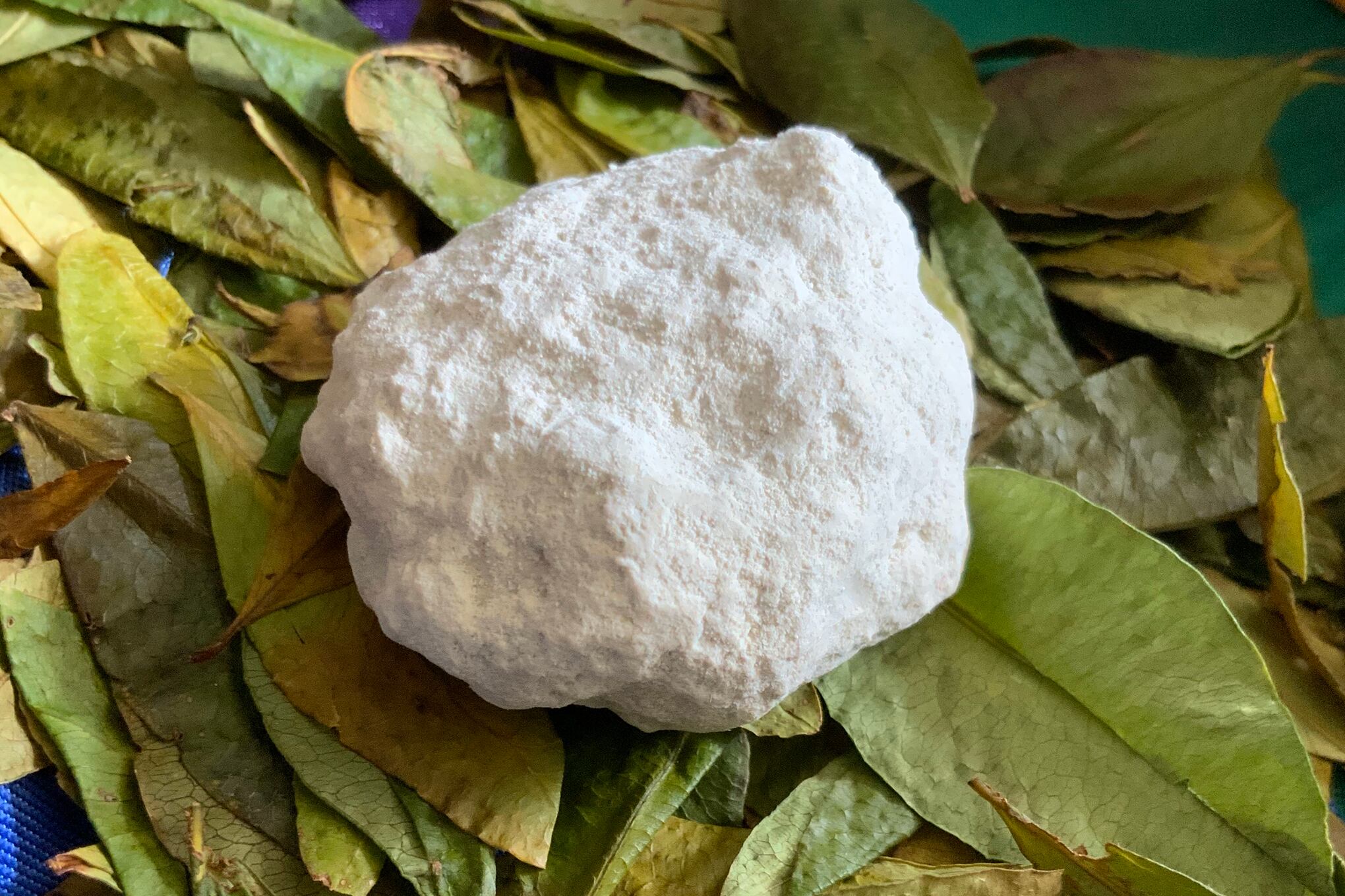 Lupi Herrera COCA NO COCAÍNA 
Foto Lupi Herrera